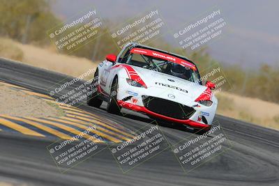 media/Mar-30-2025-Pro Autosports (Sun) [[34ff8f16e0]]/5-Green Group/Session 2 (Turn 7)/